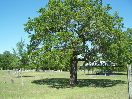 Sandy Creek Cemetery, Rockdale, Milam, TX