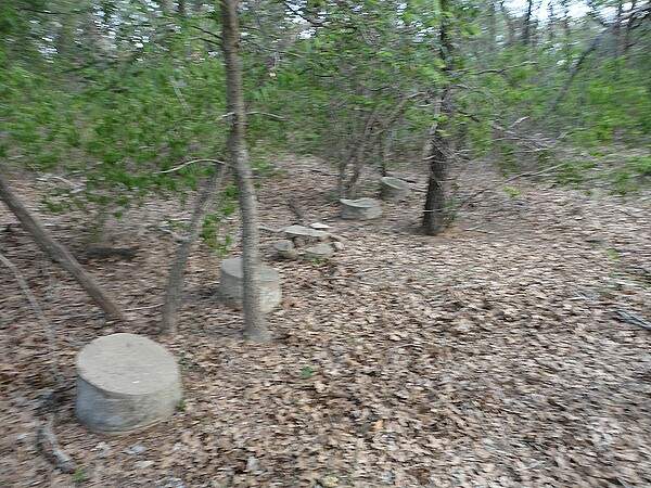 Simmons-Jones Cemetery with homemade concrete markers