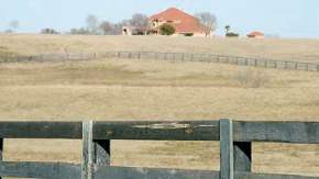 Valhalla Farms, Rockdale TX
