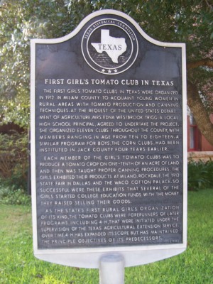 First Girls Tomato Club in Texas Historical Marker, Cameron, Milam, TX