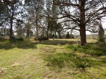 Hamilton Chapel Cemetery - Milam County, TX