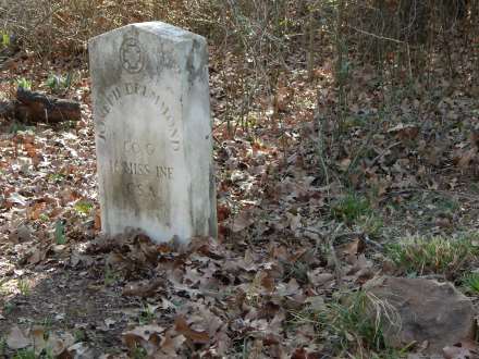 Hickory Grove Cemetery -  Delano