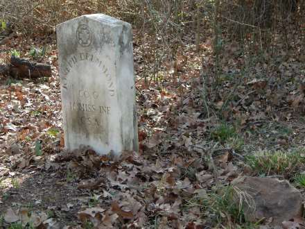 Hickory Grove Cemetery - Delano
