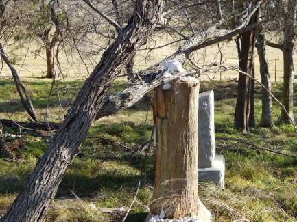 Harmony Grove Cemetery