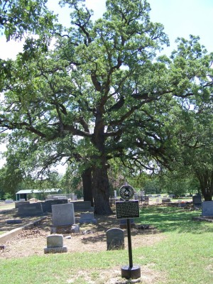 Walkers Creek Cemetery, Milam County TX