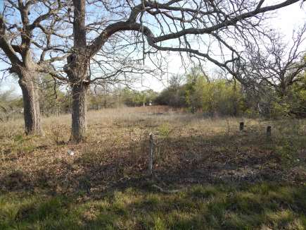 Old Lilac Black Cemetery - Milam County, TX