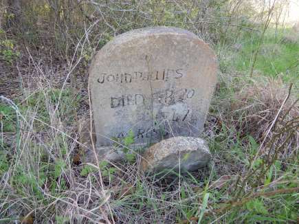 Old Lilac Black Cemetery - Milam County, TX