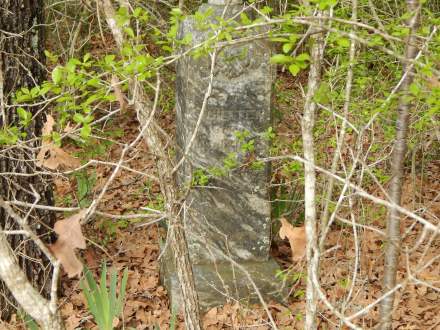 Prospect Cemetery - Milam County, TX