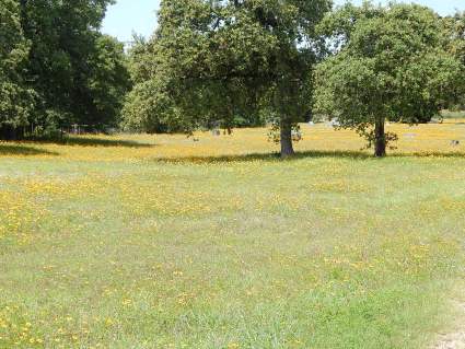 Sand Grove Cemetery