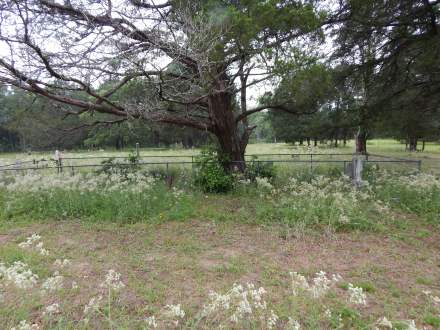 Sand P:oint Cemetery- Milam County, TX