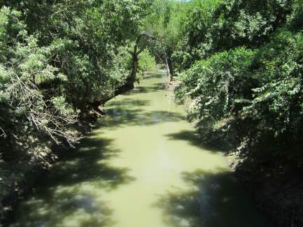 Sheckels Bridge - Milam County, TX