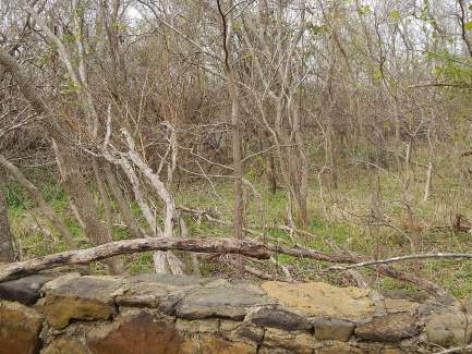 Turnham-McCown Cemetery, Milam County, TX