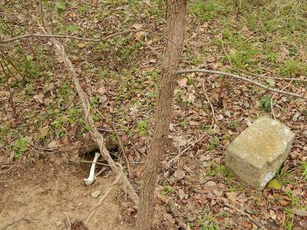 Turnham-McCowan Cemetery, Milam County, TX