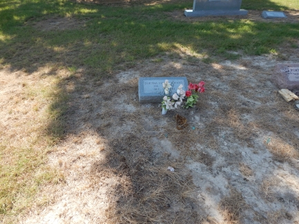 Dortha Merchant - Walkers Creek Cemetery